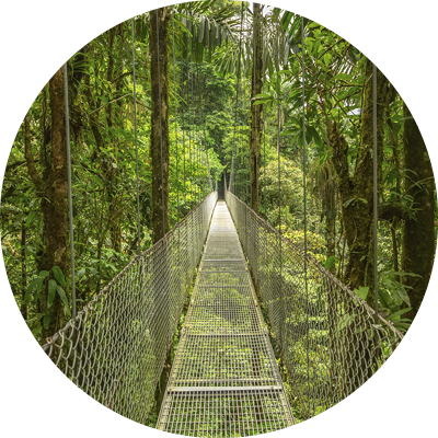 Suspended bridge at natural rainforest park, Costa Rica