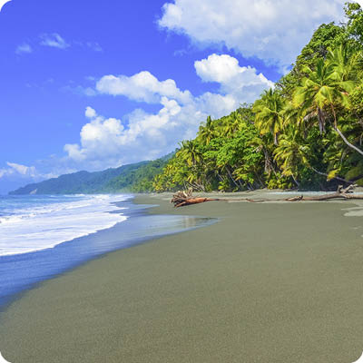 Wild beach at Corcovado Rainforest in Costa Rica