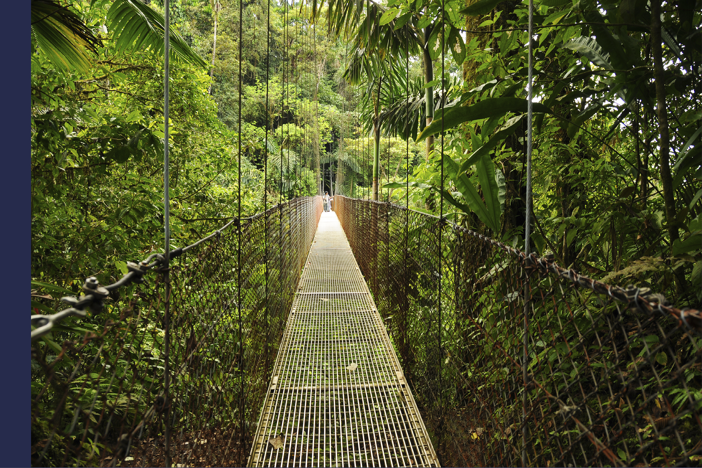 Photo taken from the famous hanging bridges in the rain forest of Costa Rica.