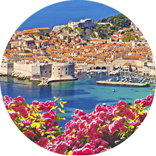 Historic town of Dubrovnik panoramic rose flower view, tourist destination in Dalmatia region of Croatia