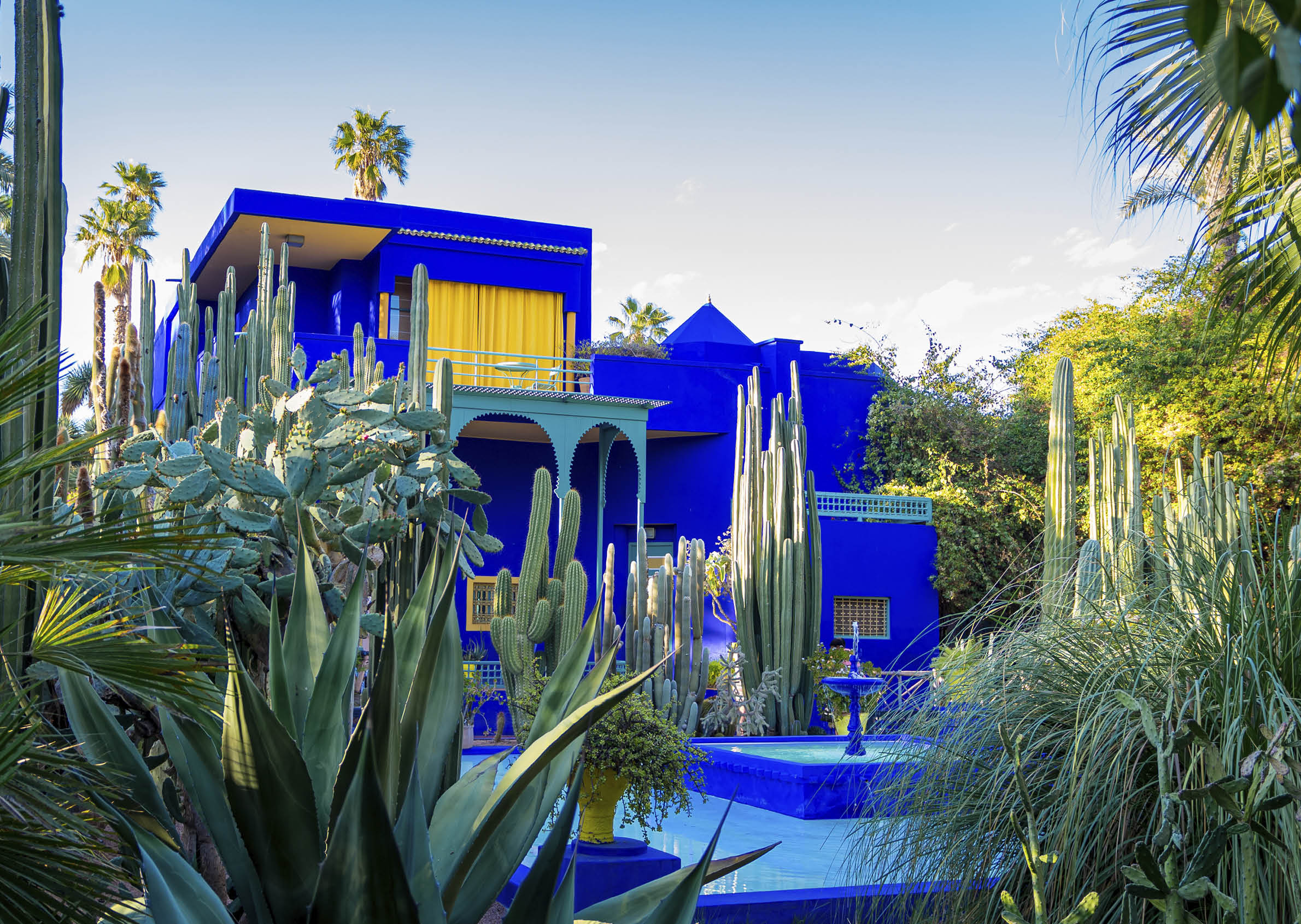 Vivid blue building and garden of captus and exotic plants. Majorelle Garden. Concept of travel and architecture. Marrakech, Morocco