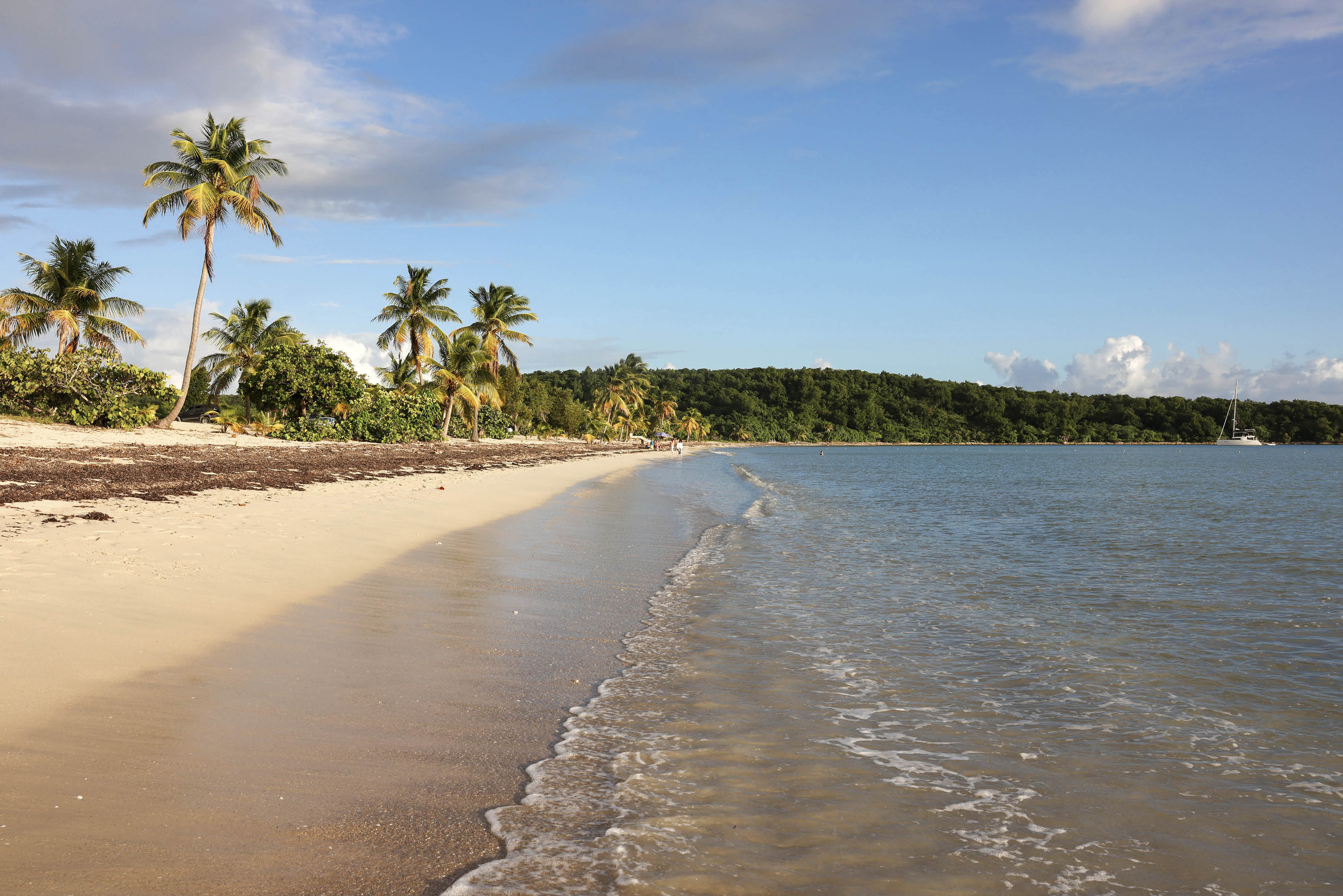 Sun Bay Beach is one of the many world-class beaches with few people on the island of Vieques, Puerto Rico